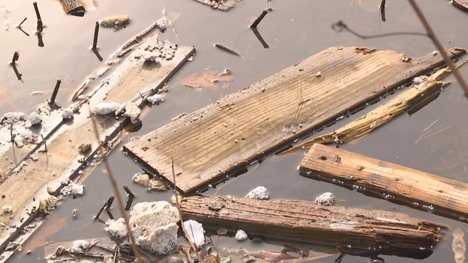 Lumber in water